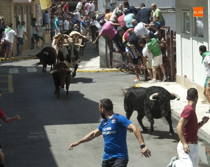 Foto 10 - Bonitas carreras en el encierro dominical de Moraleja  