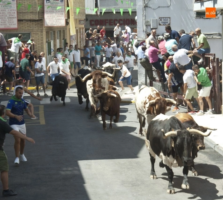 Foto 9 - Bonitas carreras en el encierro dominical de Moraleja  