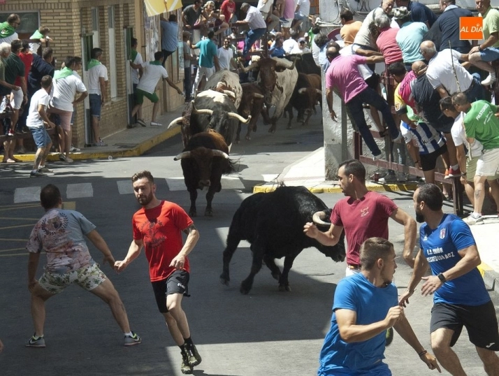 Foto 8 - Bonitas carreras en el encierro dominical de Moraleja  