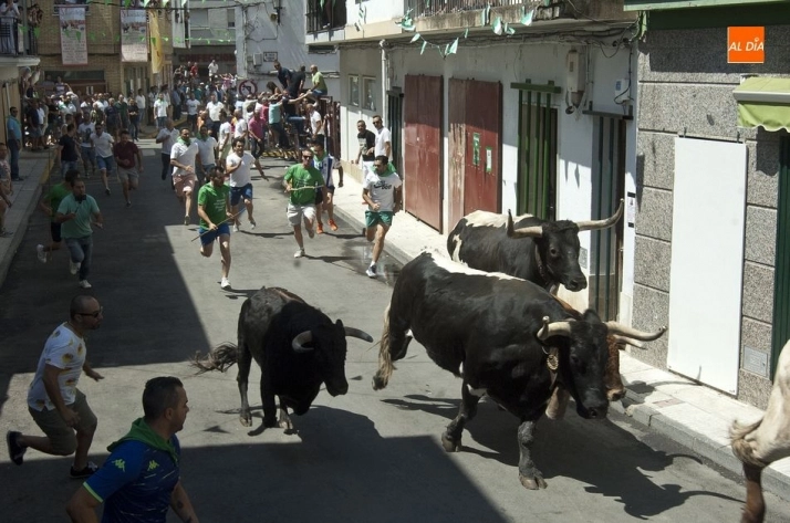 Foto 7 - Bonitas carreras en el encierro dominical de Moraleja  