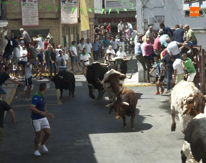 Foto 6 - Bonitas carreras en el encierro dominical de Moraleja  