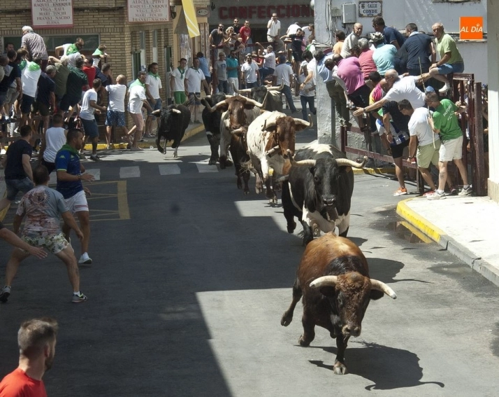 Foto 5 - Bonitas carreras en el encierro dominical de Moraleja  