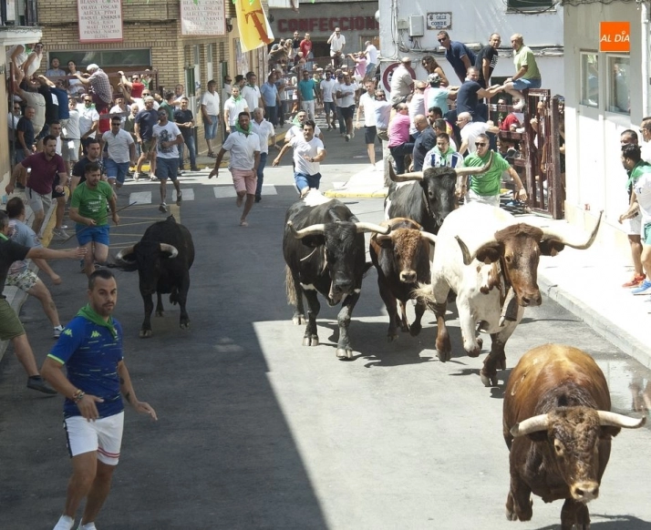 Foto 4 - Bonitas carreras en el encierro dominical de Moraleja  
