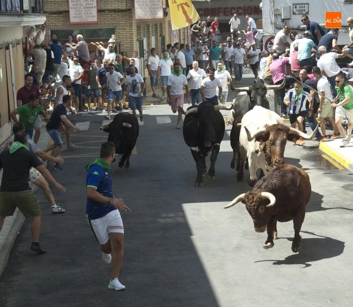 Foto 3 - Bonitas carreras en el encierro dominical de Moraleja  