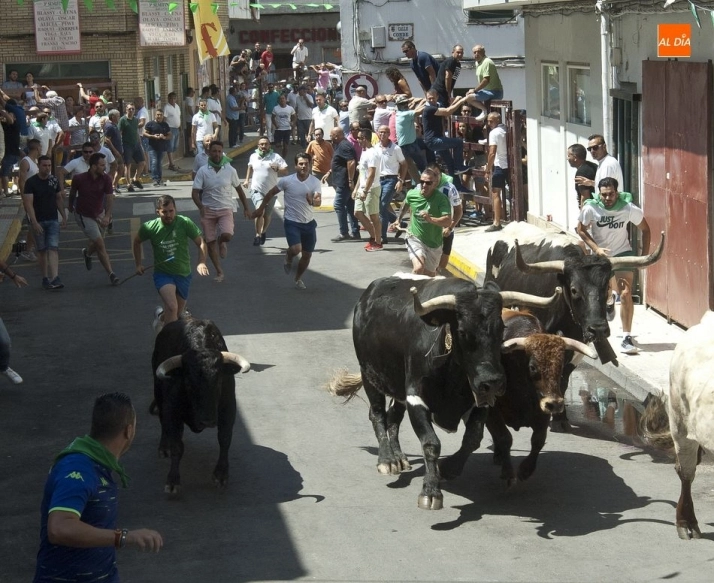 Foto 2 - Bonitas carreras en el encierro dominical de Moraleja  