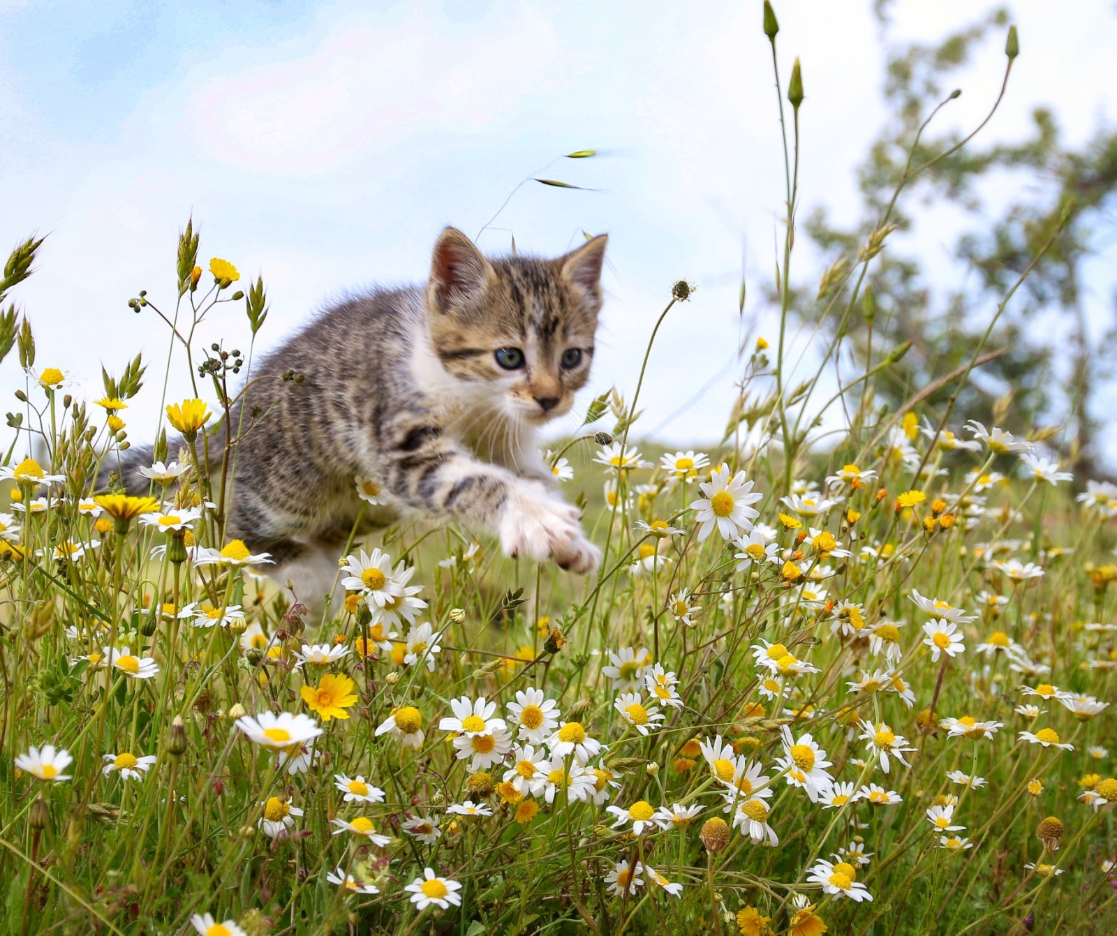 Una de las fotografías de Toni Garduño Palacios