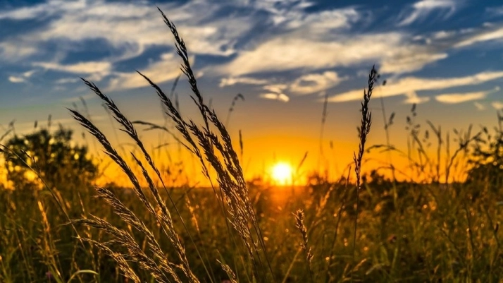 Castilla y León cuenta con 1.122 cooperativas agroalimentarias