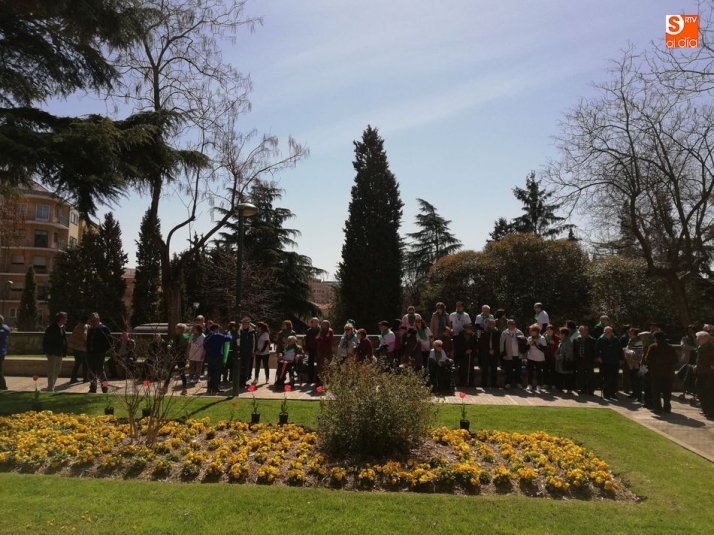 Tulipanes para conmemorar el Día Mundial del Parkinson  