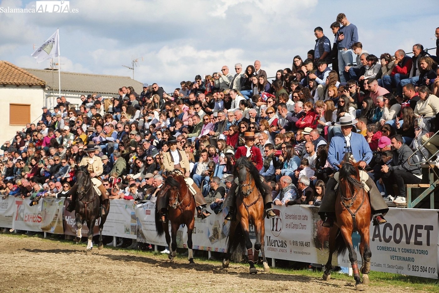 Bañobárez celebrará la V Feria Solidaria del Caballo a beneficio de AERSCyL