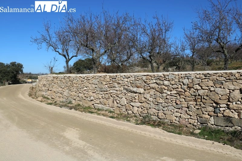 Camino de La Code 