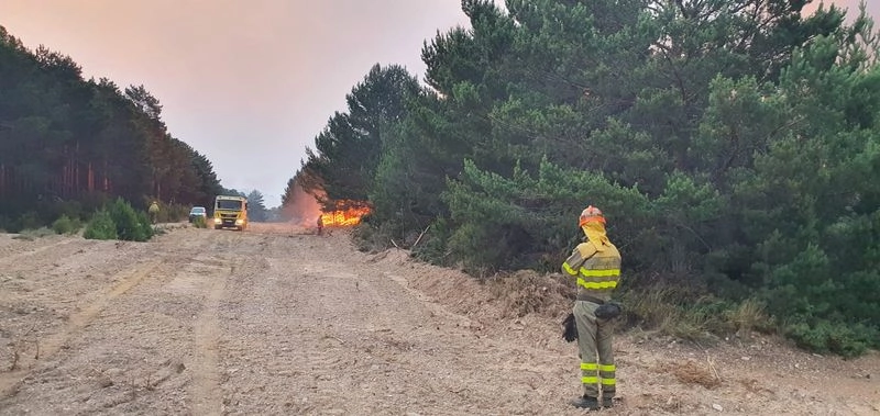 Trabajos de extinción del fuego en la Sierra de la Culebra