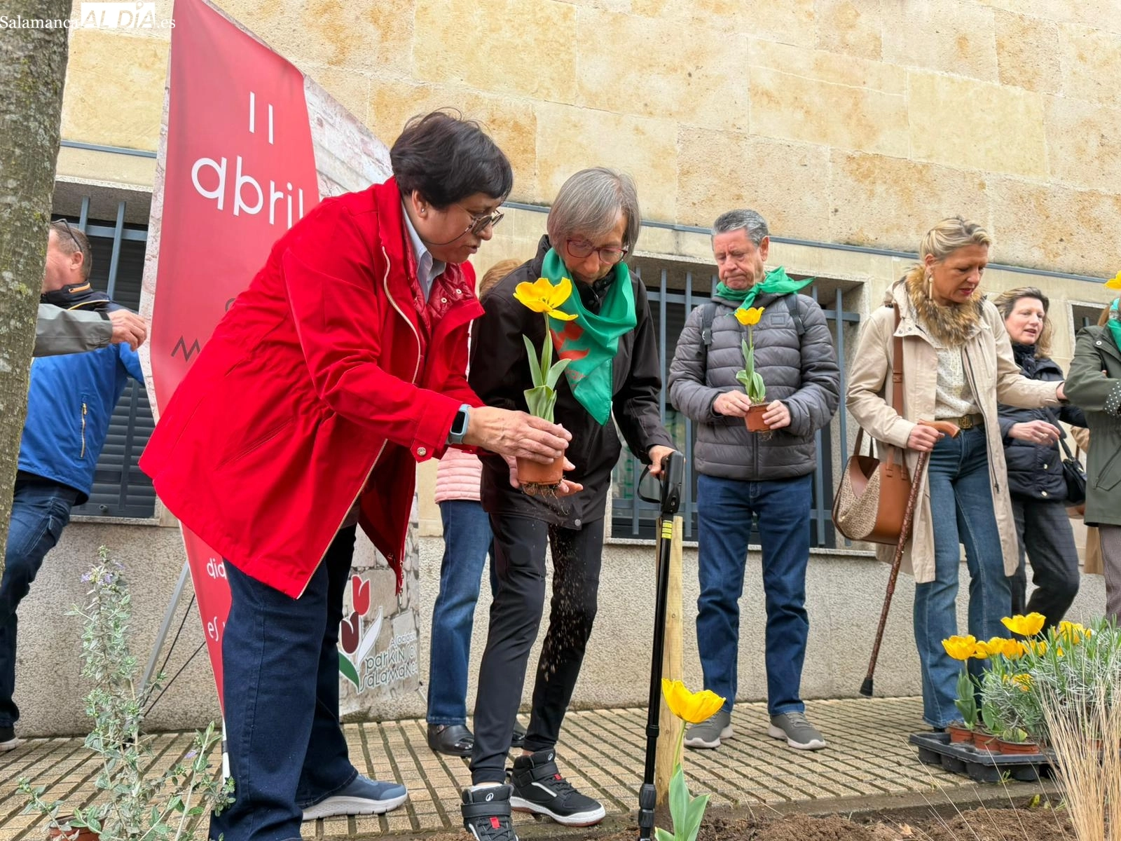 Plantación de tulipanes amarillos para visibilizar y concienciar sobre el Parkinson en Salamanca | FOTOS: Vanesa Martins 