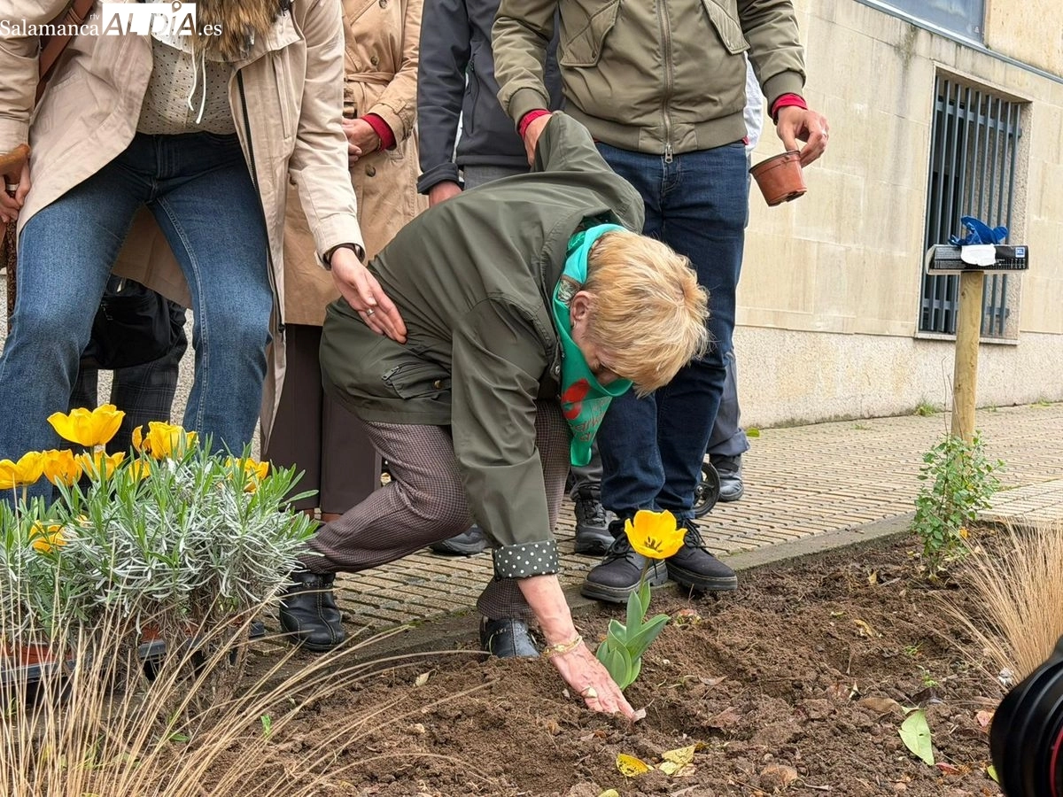 Plantación de tulipanes amarillos para visibilizar y concienciar sobre el Parkinson en Salamanca | FOTOS: Vanesa Martins 
