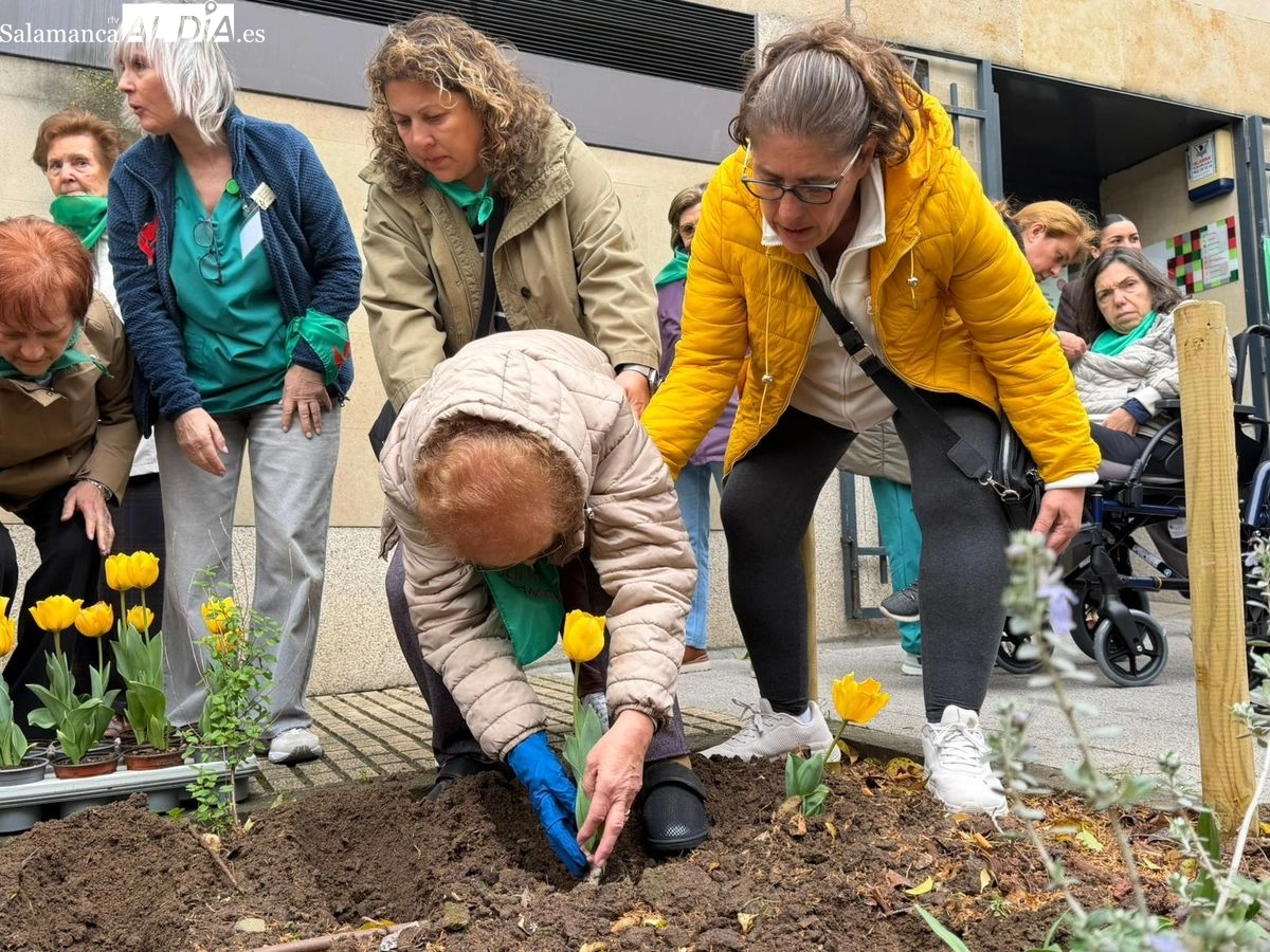 Plantación de tulipanes amarillos para visibilizar y concienciar sobre el Parkinson en Salamanca | FOTOS: Vanesa Martins 