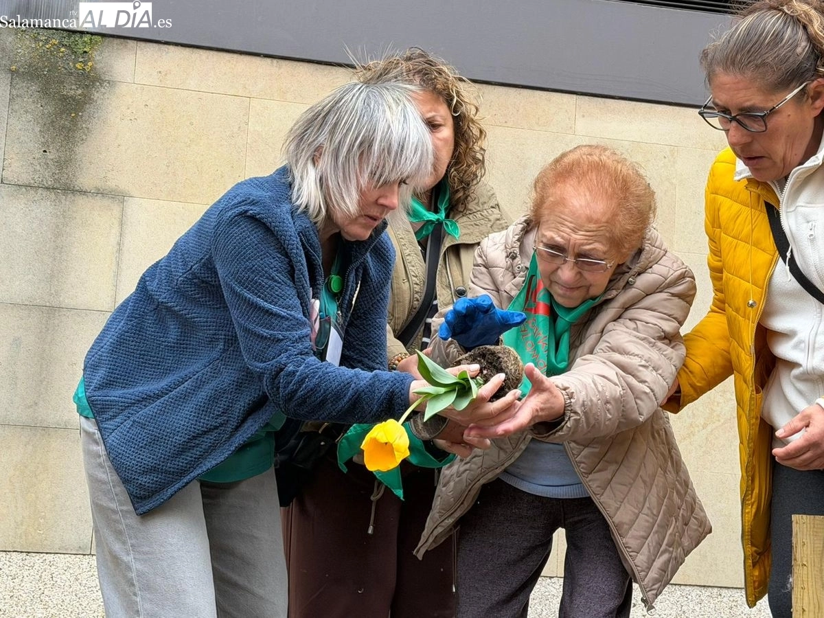 Plantación de tulipanes amarillos para visibilizar y concienciar sobre el Parkinson en Salamanca | FOTOS: Vanesa Martins 