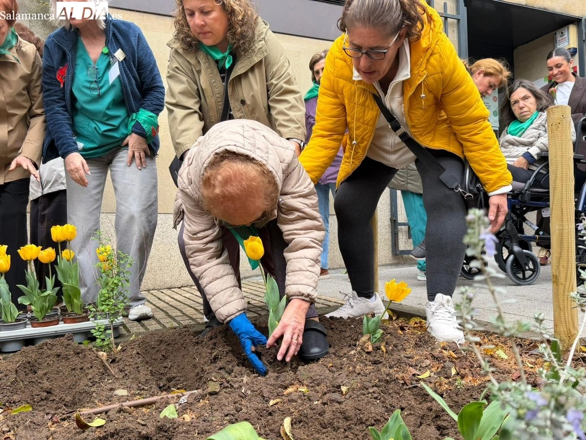 Plantación de tulipanes amarillos para visibilizar y concienciar sobre el Parkinson en Salamanca | FOTOS: Vanesa Martins 