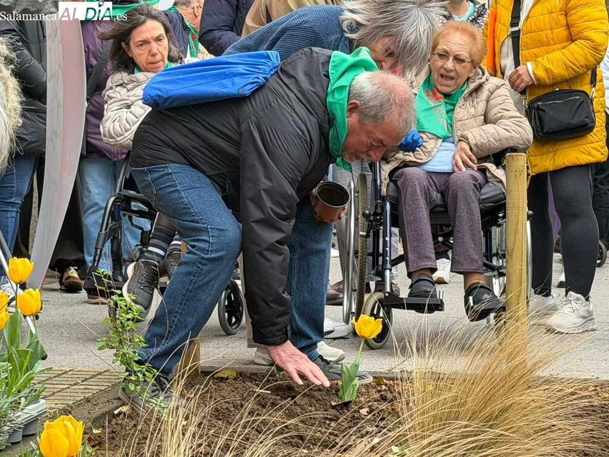 Plantación de tulipanes amarillos para visibilizar y concienciar sobre el Parkinson en Salamanca | FOTOS: Vanesa Martins 