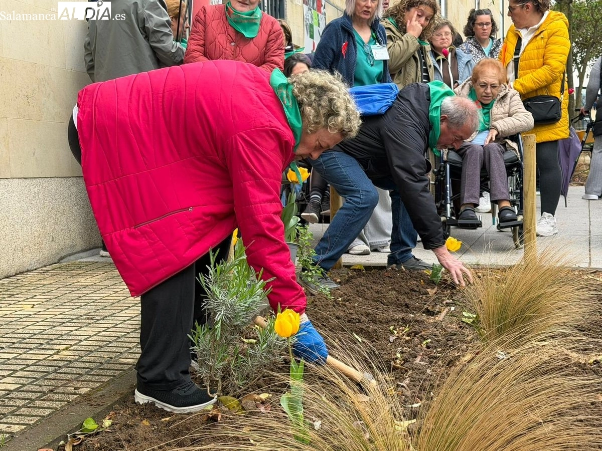 Plantación de tulipanes amarillos para visibilizar y concienciar sobre el Parkinson en Salamanca | FOTOS: Vanesa Martins 
