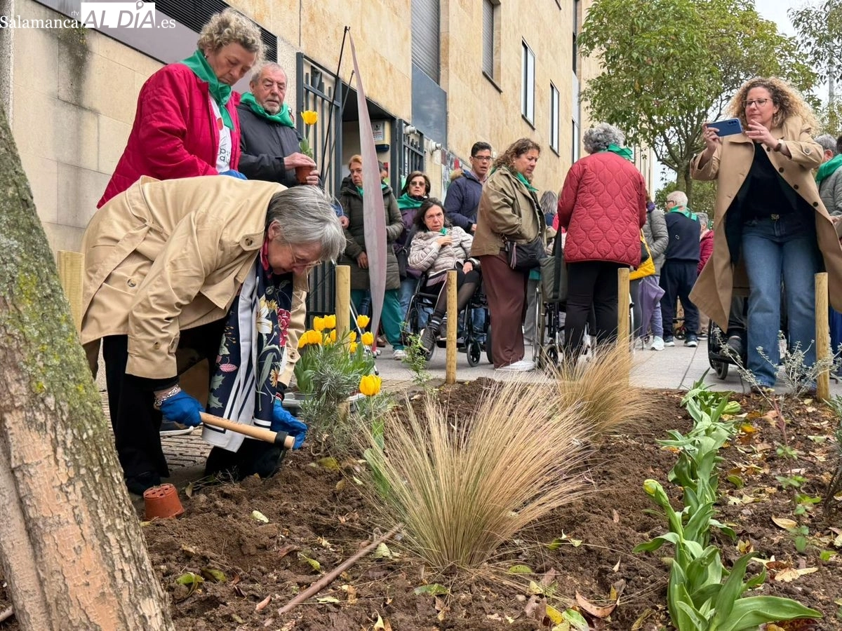 Plantación de tulipanes amarillos para visibilizar y concienciar sobre el Parkinson en Salamanca | FOTOS: Vanesa Martins 
