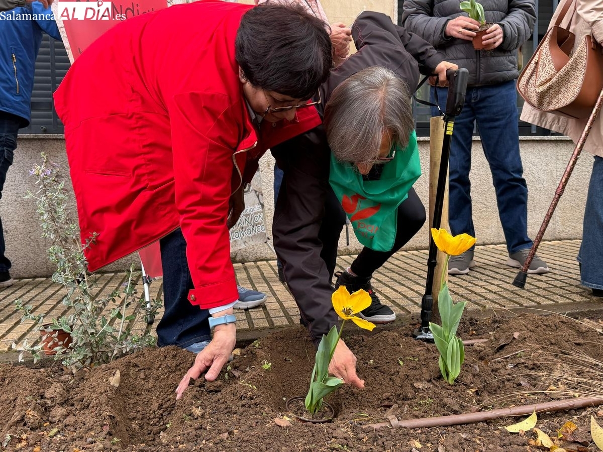 Asociación de Parkinson en Salamanca alerta de la saturación de aulas