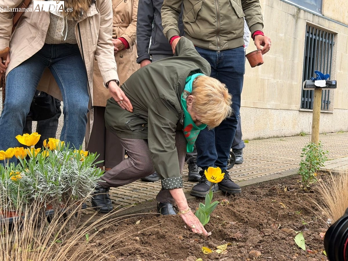 Plantación de tulipanes amarillos para visibilizar y concienciar sobre el Parkinson en Salamanca | FOTOS: Vanesa Martins 