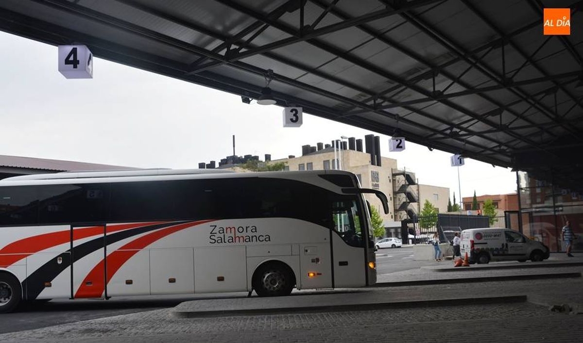 Dos detenidos en la estación de autobuses por asaltar a una mujer de avanzada edad en un portal para quitarle las llaves y el monedero