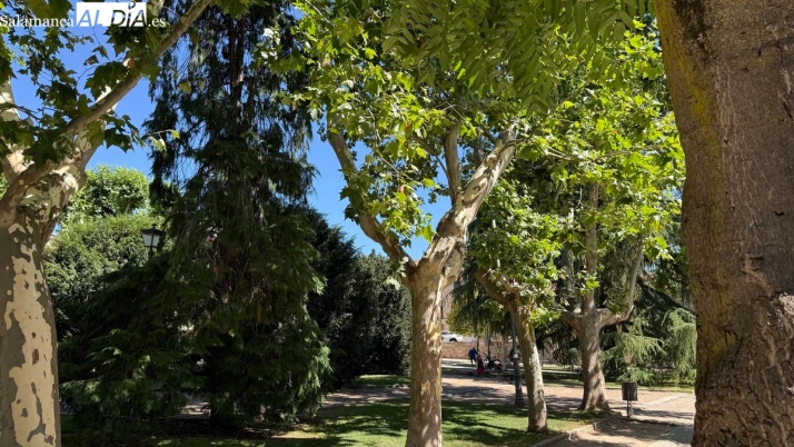 El parque de Colón: un pulmón verde e isla de frescor a 5 minutos de la Plaza Mayor | Imagen 2
