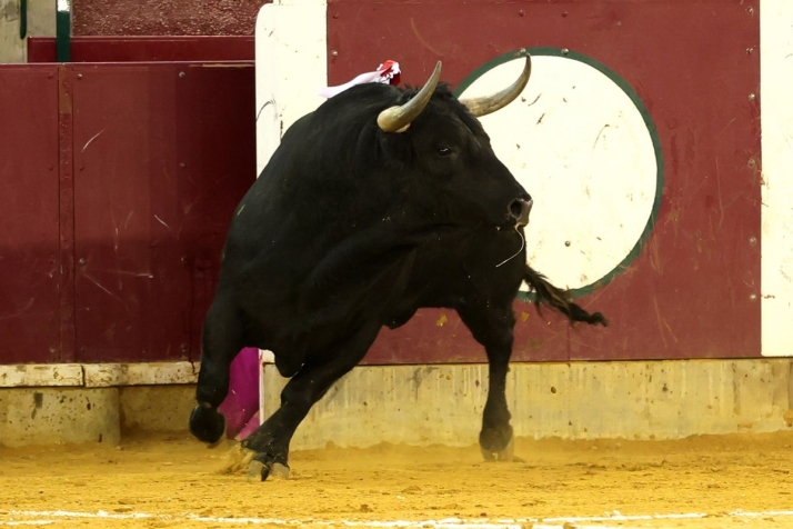 Javier Casta&ntilde;o, un adi&oacute;s en 10 im&aacute;genes | Imagen 5