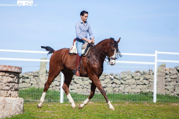 Alberto Sandoval, 17 a&ntilde;os de vocaci&oacute;n: &ldquo;Muchas veces parecemos los malos de la pel&iacute;cula, pero el picador es necesario&rdquo; | Imagen 3