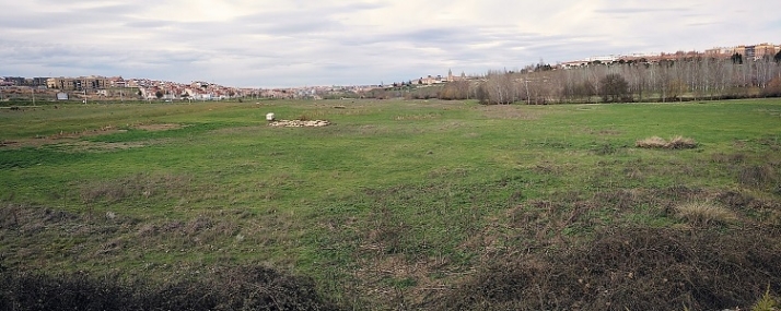 Lo mismo arborizan, por fin, El Zurgu&eacute;n. | Imagen 1