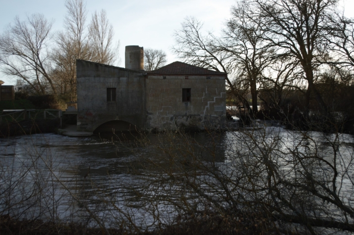 Villamayor: 60 kil&oacute;metros de senderos por descubrir en el coraz&oacute;n de La Armu&ntilde;a a minutos de Salamanca | Imagen 1