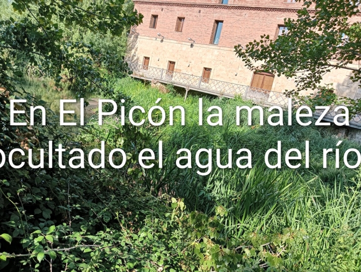 Carta abierta a la Confederaci&oacute;n Hidrogr&aacute;fica del Duero | Imagen 5