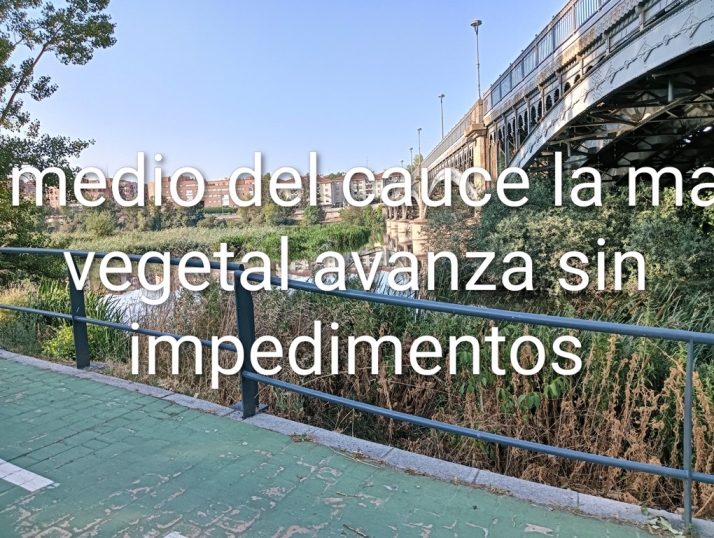 Carta abierta a la Confederaci&oacute;n Hidrogr&aacute;fica del Duero | Imagen 3