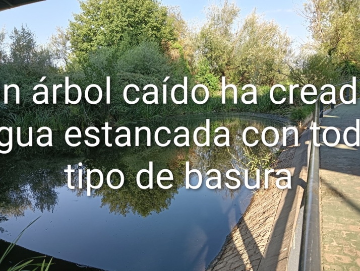 Carta abierta a la Confederaci&oacute;n Hidrogr&aacute;fica del Duero | Imagen 6