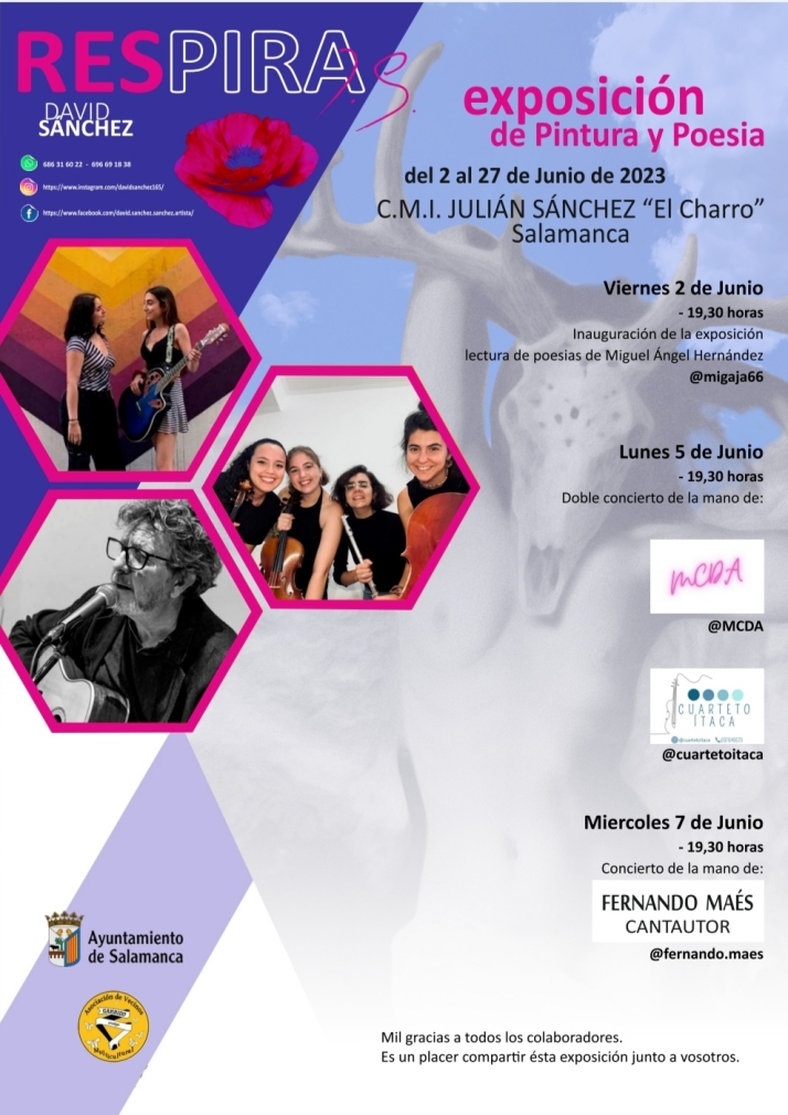 Conciertos gratuitos en el Centro Juli&aacute;n S&aacute;nchez El Charro | Imagen 1