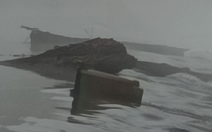 Varado en la presa de La Pesquera un cubo de basura arrojado al r&iacute;o | Imagen 1