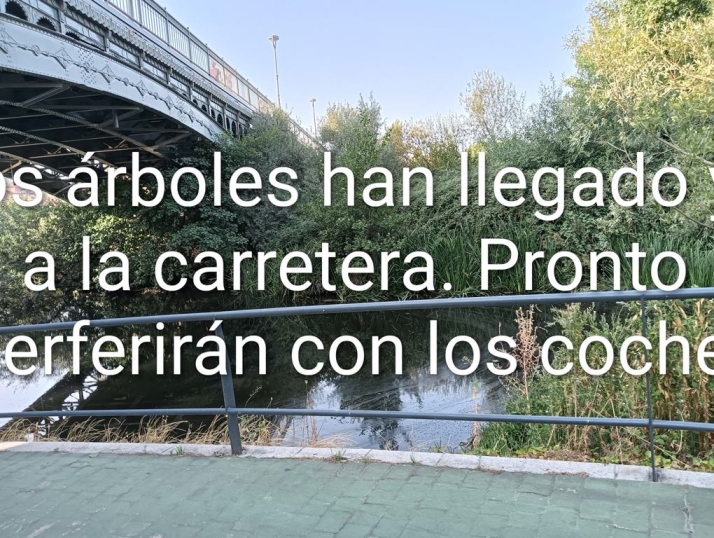 Carta abierta a la Confederaci&oacute;n Hidrogr&aacute;fica del Duero | Imagen 4