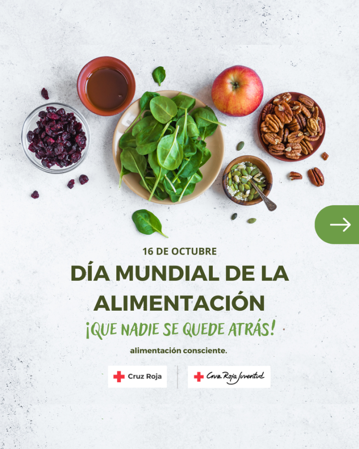 Cruz Roja organiza en Vitigudino un taller sobre h&aacute;bitos alimentarios seguros | Imagen 1