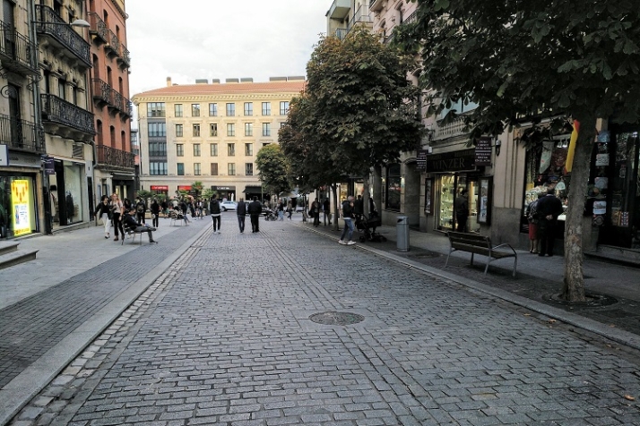 Lo mismo arborizan, por fin, El Zurgu&eacute;n. | Imagen 2