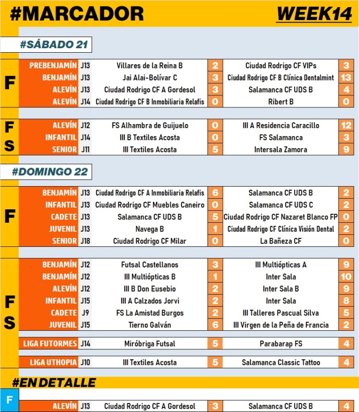 #M | 21-22 ENE | El Alev&iacute;n A del Ciudad Rodrigo cae con uno menos por &lsquo;exclusi&oacute;n temporal&rsquo; a puerta cerrada | Imagen 1