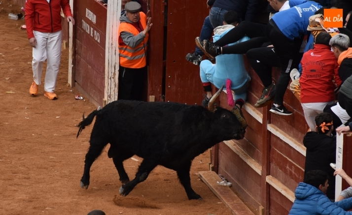Las &uacute;ltimas miradas y sonidos del Carnaval del Toro 2023 | Imagen 22