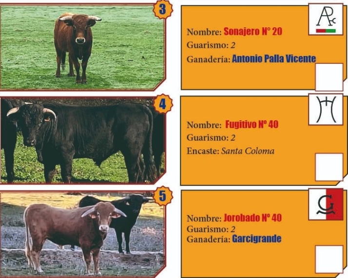 Desvelada la imagen de los machos que protagonizar&aacute;n la final del Bols&iacute;n 2024 | Imagen 1