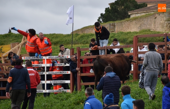 Las &uacute;ltimas miradas, sonidos y curiosidades del Carnaval del Toro 2024 | Imagen 23