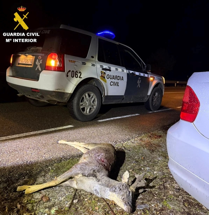 La sangre en un coche aparcado delata a dos furtivos en El Payo con un corzo reci&eacute;n abatido | Imagen 1