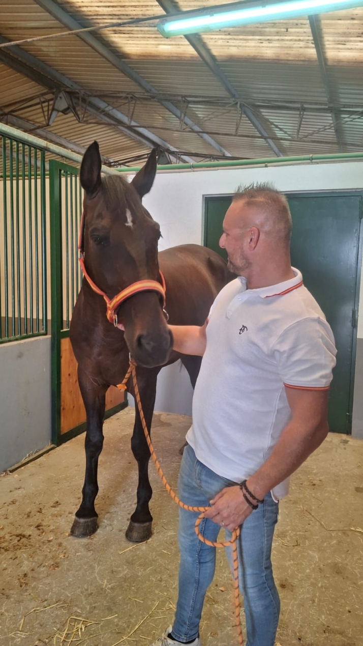El emotivo reencuentro de un polic&iacute;a salmantino y su caballo de patrulla en la feria Salamaq | Imagen 3