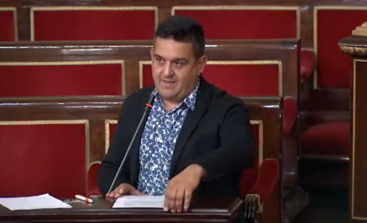 Iceta descarta en el Senado crear una 4&ordf; subsede del Museo Nacional de Escultura en Ciudad Rodrigo | Imagen 1