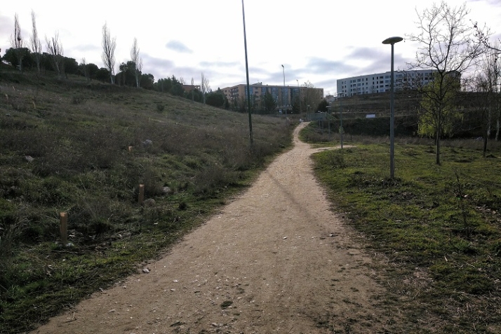 Lo mismo arborizan, por fin, El Zurgu&eacute;n. | Imagen 4