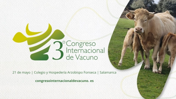 El vacuno de carne mira al futuro en su III Congreso&nbsp;Internacional en Salamanca | Imagen 1