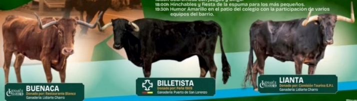 Pipe Mart&iacute;n pregonar&aacute; las fiestas del Barrio Nuevo, que tendr&aacute;n una competici&oacute;n de Humor Amarillo | Imagen 1