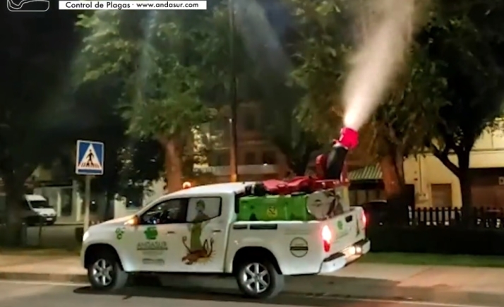 Realizado de madrugada un tratamiento contra la galeruca del olmo | Imagen 1
